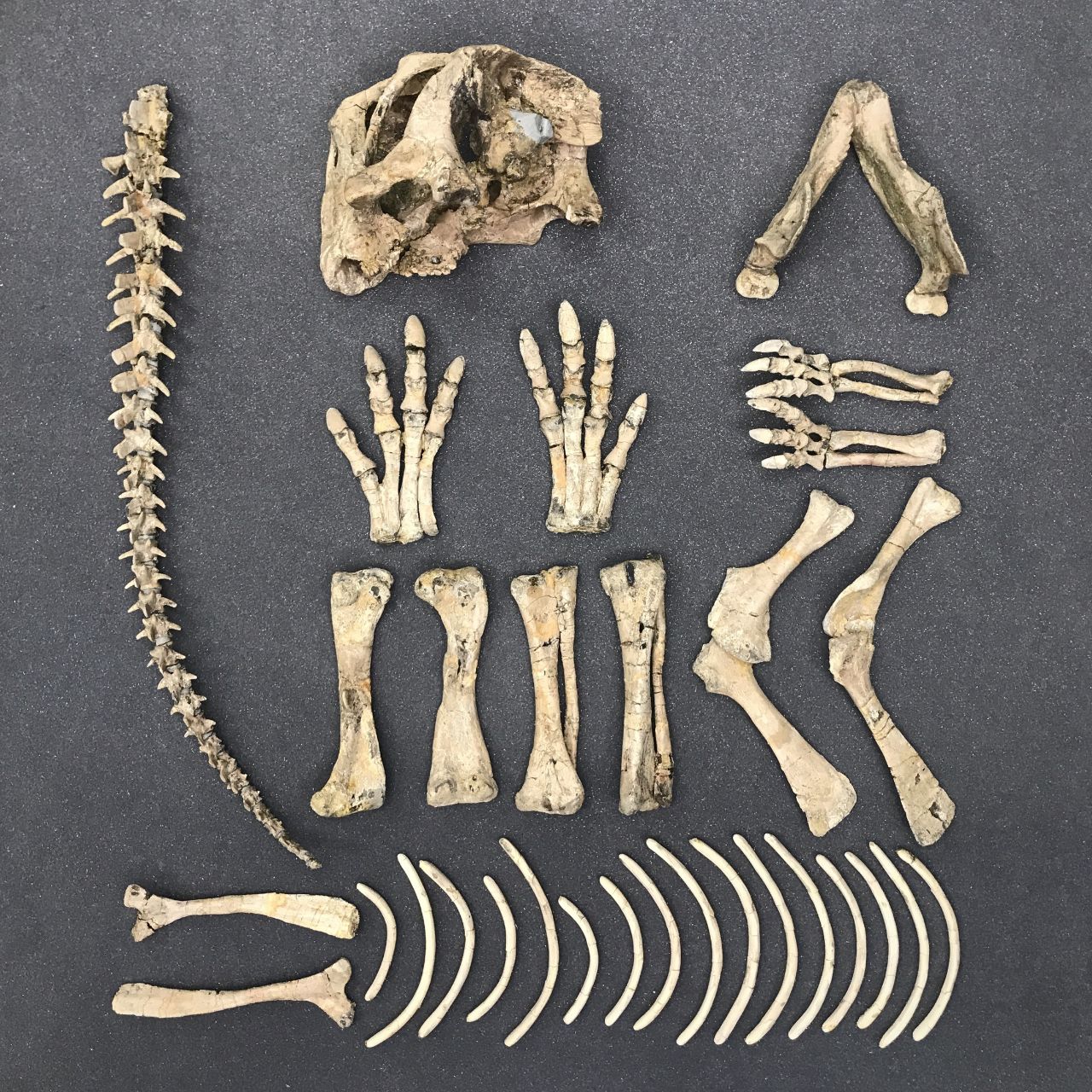 Пещера тьмы