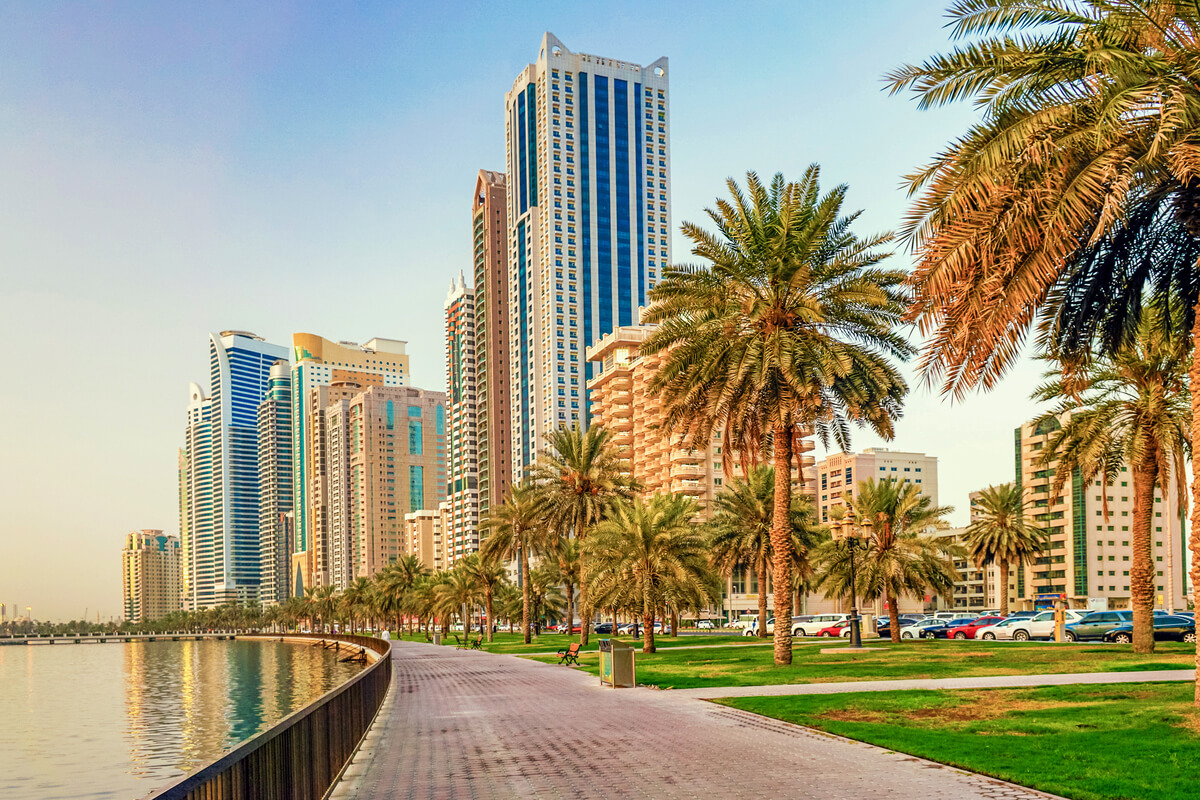 Оазис в пустыне